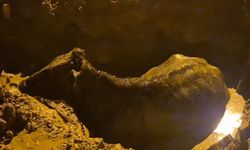 Vatandaş fark etti, ekipler yetişti: İnek böyle kurtarıldı!