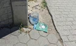 Eskişehirli vatandaşlardan sokak hayvanlarına destek