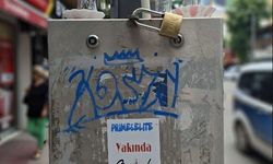 Eskişehir'de pano üzerindeki görüntü şaşırttı