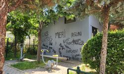 Eskişehir'de tarihi yapılar vandalların hedefi oldu!