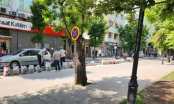 Büyükşehir ekiplerinden refüjlerde bakım mesaisi