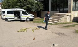 Eskişehir'de silahlı kavga: Kız kardeşinin sevgilisini vurdu!