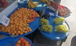 Eskişehir'de yazlık meyveler seyirlik oldu: Cep yakıyor