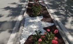 Eskişehir'de ana caddeye yeni çehre