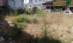 Eskişehir'de kamu arsası ot tarlasına döndü