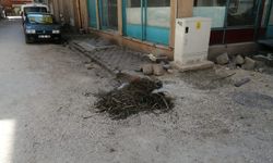 Eskişehir’de kazılıp bırakılan sokaklar vatandaşı isyan ettirdi