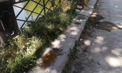 Eskişehir’in sokaklarında kirlilik artıyor: Tepkiler büyüdü!