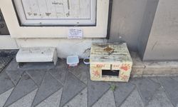 Eskişehir'de su kabını çöpe atanlara böyle tepki gösterdi!