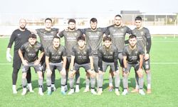Artıspor 30 puan topladı