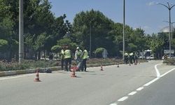 Osmangazi Üniversitesi girişinde peyzaj çalışması
