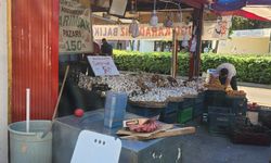 Sarımsağın kilosu Eskişehirli vatandaşın cebini yakıyor