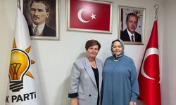 AK Parti Eskişehir'de kadın kolları buluşması