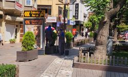 Hamamyolu'ndaki saksılar mevsimlik çiçeklerle buluşuyor