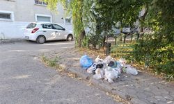 Eskişehir'de kaldırım çöp alanına döndü