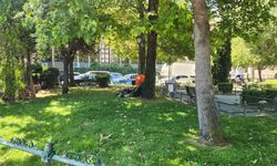Eskişehir'de çimler düzenli olarak bakıma alınıyor