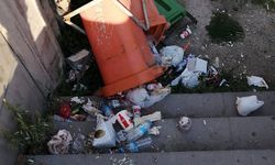 Eskişehir'de vandallar İş başında: Çöp kutularına zarar verdiler