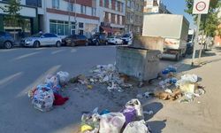 Sütlüce Mahallesi'nde konteynerler boş, çöpler çevreye saçıldı