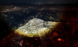 Eskişehir’deki arazi yangınına kısa sürede müdahale
