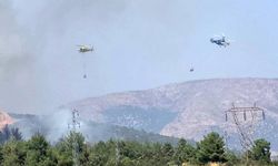 Bilecik’te orman yangını: Havadan ve karadan müdahale