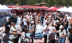 Mihalıççık'ta binlerce kişi Kiraz Festivali'nde buluştu
