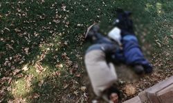 Porsuk kenarında endişelendiren görüntü: Saatlerce hareketsiz yattılar