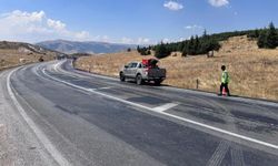 Afyon’da yolu mora boyayan kimyasalın kaynağı belli oldu