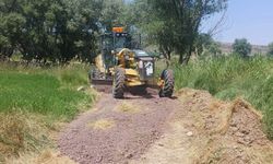 Seyitgazi Belediyesi tarla yolları için harekete geçti