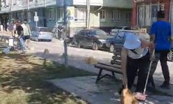 Kırmızıtoprak Mahallesi'nde çevre seferberliği