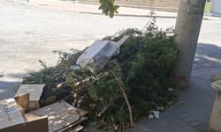 Dal yığını bir haftadır kaldırılmayı bekliyor