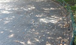 Eskişehir'de havuzlu parkta kirlilik tepkisi