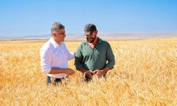 Eskişehir’de kuraklığa dayanıklı buğday: İlk hasadı yapıldı