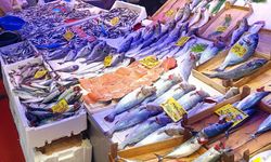Eskişehir’de sezonun ilk gününde fiyat değişti: Palamut 450 liradan 150 liraya düştü