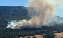 Mihalıççık’ta orman yangını: Ekipler ve helikopterler seferber oldu