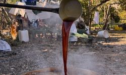 Eskişehir’de bağ bozumu başladı, kazanlar pekmez için kaynadı