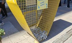 Eskişehir'de pet şişeler geri dönüşüme