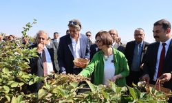 Eskişehir’de çiftçiye yeni destek: ÇİDEM hizmete girdi
