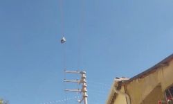 Eskişehir’de 5 yıldır elektrik telinde duruyor, kimse nedenini bilmiyor