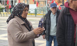 Eskişehir'de 29 Ekim'e özel 1.103 lavanta fidanı hediye edildi