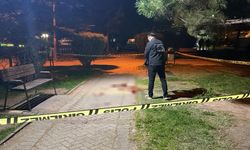 Eskişehir'de kanlı gece: Parkta bıçaklı kavga ölümle bitti!