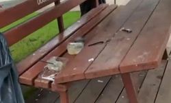 Eskişehir’de parkta pes dedirten görüntü: Kamelya ve masaları parçaladılar
