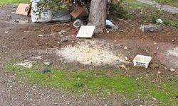 Eskişehir’de hayvanları beslemek için bırakılan yemekler yağmura yenildi