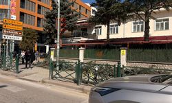Eskişehir Atatürk Caddesi’nde görüntü kirliliği! Kesilen dallar dikkat çekti