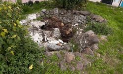 Eskişehir’de yeşil alanda dikkat çeken tahribat! O sokakta neler oluyor?