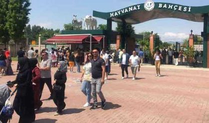 Eskişehir'de Hayvanat Bahçesine bayramda ziyaretçi akını