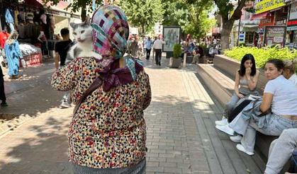 Eskişehir'de sahibinin kucağında ilgi odağı oldu