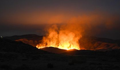 California’da orman yangınları 29 bin hektarı aştı