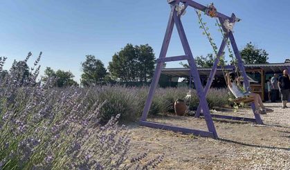 Ektiği lavantalar ile bahçesinde morun her tonunu barındırıyor