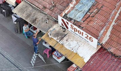 Her gün merdivene çıkıp çatıdaki kedileri besliyor