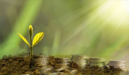 Türkiye bankalarının iklim adımları sınırlı kaldı