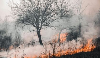 Uluslararası uzmanlardan Türkiye’ye yangınla mücadelede tam not